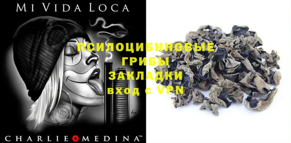2c-b Верхний Тагил