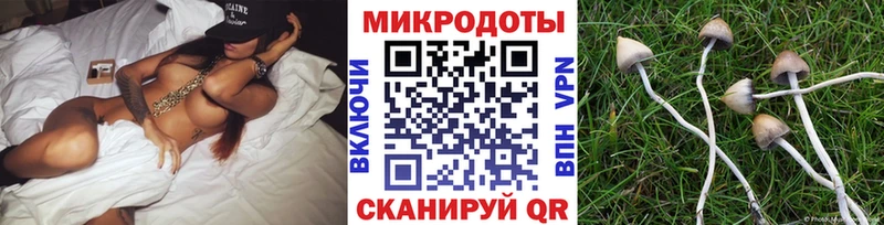 Псилоцибиновые грибы прущие грибы  купить наркотик  Нерехта 